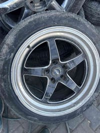 ويلد امريكي • حجم ١٨ • زوج فقط