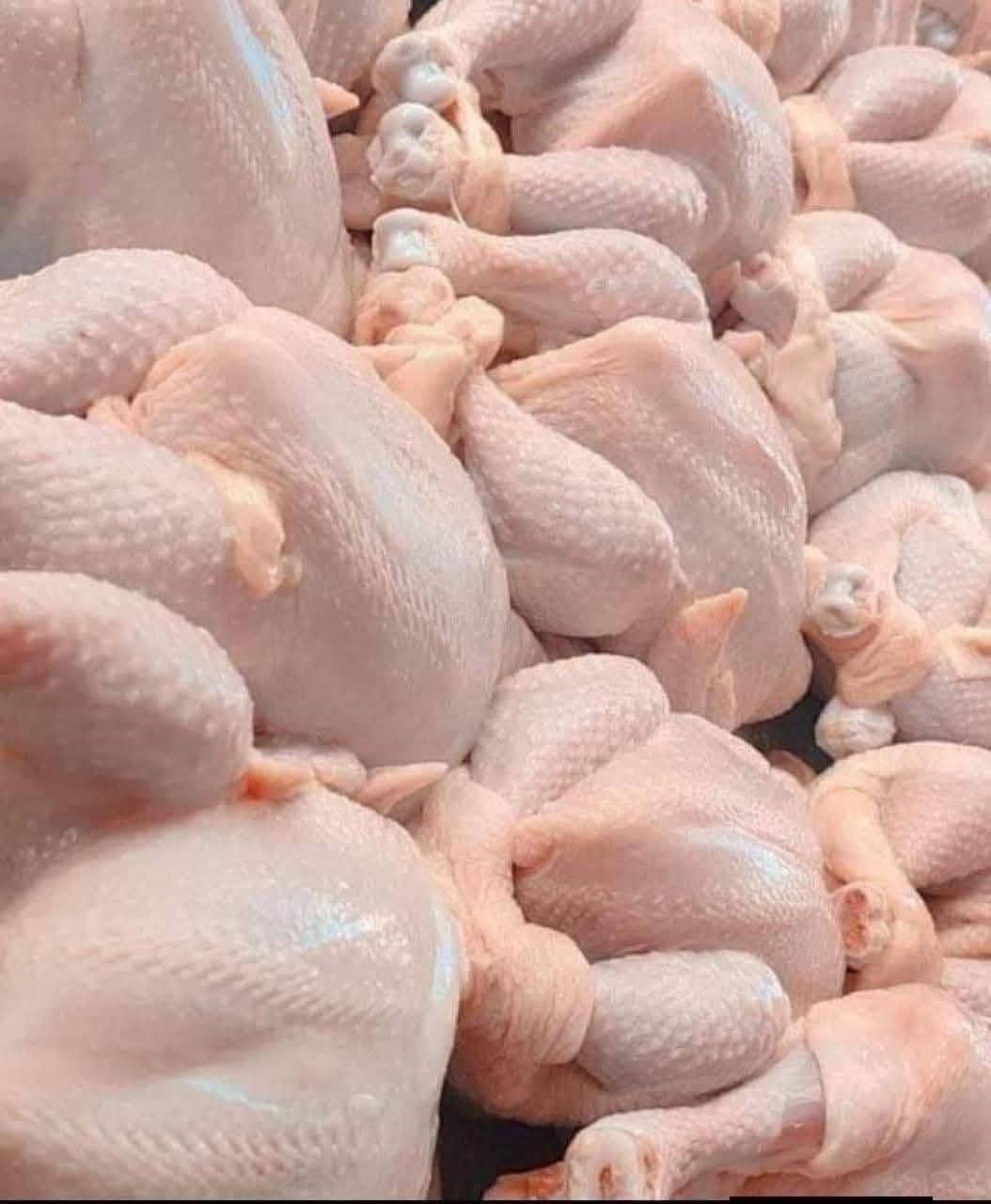 وصول دجاج حي ابيض عنواني الدور الشارع العام بصف كراج سعد أو القطاع النموذجي الكيلو ب 3500
يوجد خدمة توصيل للحجز الاتصال على الرقم ***********
