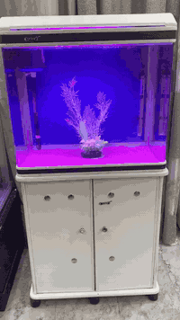 شباب  حوض كامري ابيض فول نظافة جاهز من كلشي  اناره فلتر  هيتر جهاز اوك...