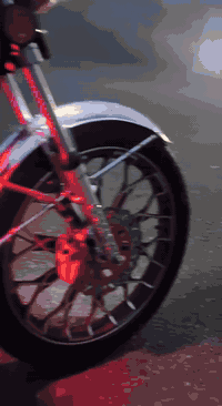 سيفون • موديل ٢٤ • أوراق