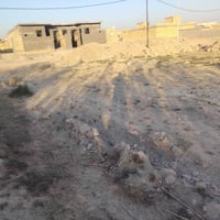 قطعة زراعية • ركن • سوق الشيوخ حي الجوادين