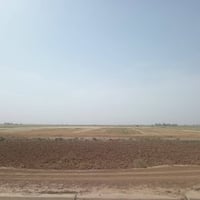 قرية شاصاوان • ٥ دونم • طابو