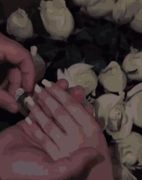 قاعة نخيل-2 • ٥٠٠ شخص • كوشة فاخرة