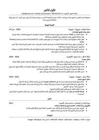 تصميم سيرة ذاتية احترافية عربي وأنكليزي للتقديم على الوظايف الحكومية و...