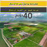 مزرعة • ٤٠ دونم • قرية گردچال