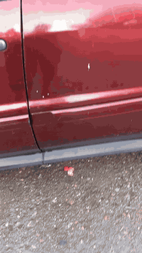 كوينكس ٢٠٠٨ رقم ألماني بغداد لل٢٨ مشروع وطني نقص حدادية ٧٣ ورقة وبيها ...