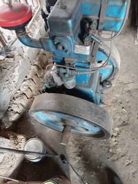 ١٦حصان • توبلاند • بلدي