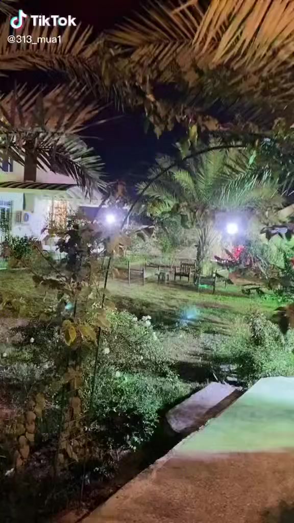 السلام عليكم بيتين المساحه دونم ناحية الرشيد موقع ممتاز فول مواصفات الاستفسار ***********
