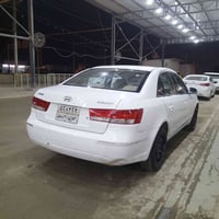 سوناته • مراوس • بابل الحله