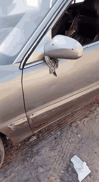 سوناتا تو • ٢٠٠٠ • رقم ذي قار