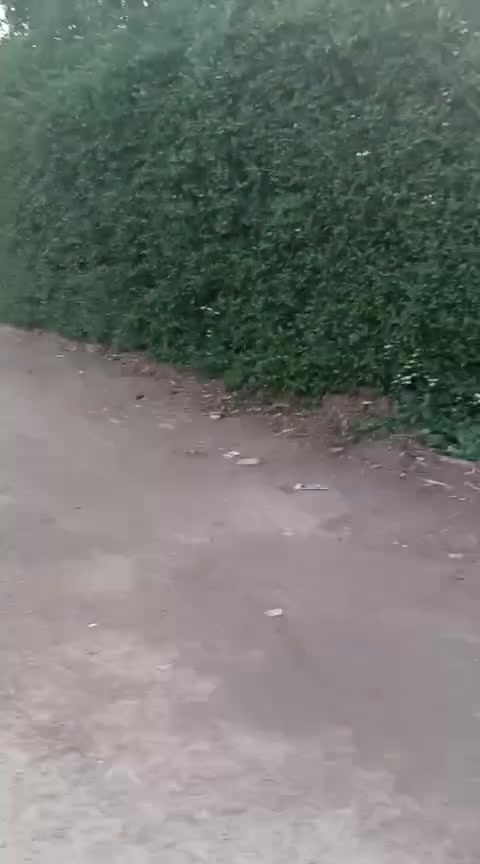 للبيع النستعجل ربع🌲 دونم 650م  في كربلاء الحر الرشدية مع بيتين بناء متواضع  مع حديقة وبعض النخيل والاشجار مكان راقي جدا وكافة متوفرة وقريب جدا للشارع العام التبليط يبعد عن الحر ع اقل الكيلو طابو سند 25 تتكاتب مع صاحب الارض مباشرا مع اقرار محكمة باسم المشتري  والسعر مناسب جدا 125 مع المجال  للاستفسار 🌲***********🌲***********

