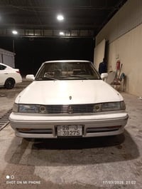 مارك عضم • كفالة عامه • نجف