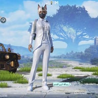 حساب ببجي • لفل٧١ • سكنات حلوه