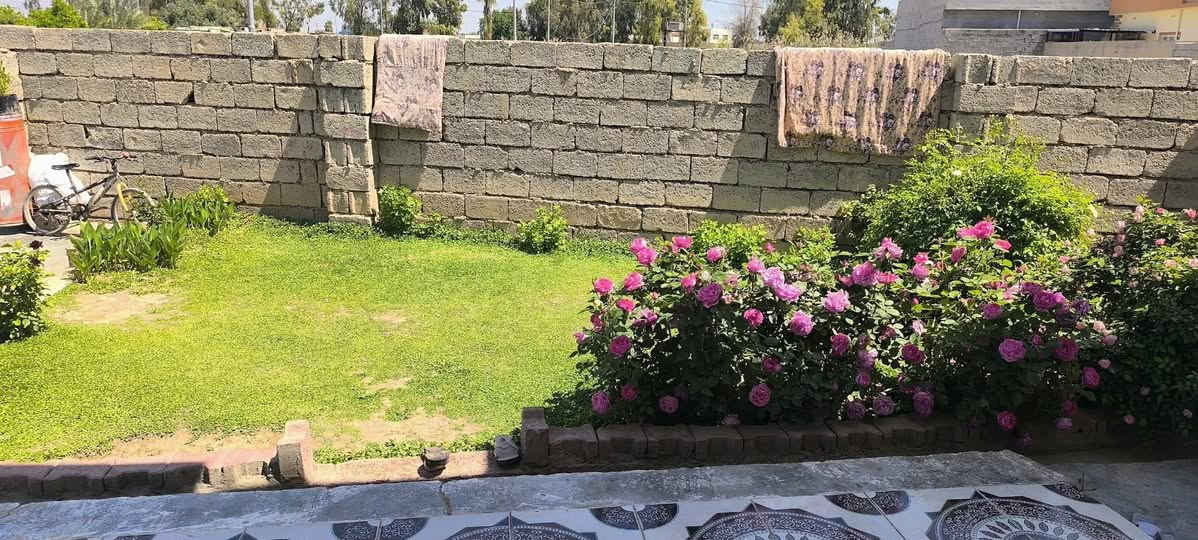 السلام عليكم.. بيت للبيع منطقة الخلف الخضر مساحتة 500 متر.. يحتوي على ربعة 7×4.. هول 5×4 غرفتين نوم 4×4 مطبخ 6×4 وحمام وبيتونه وحديقتين وترك ورة البيت 2متر وصحيات خارجية وحوش كبير السعر 70 وبيه مجال تعال وشوف..موبايل ***********
