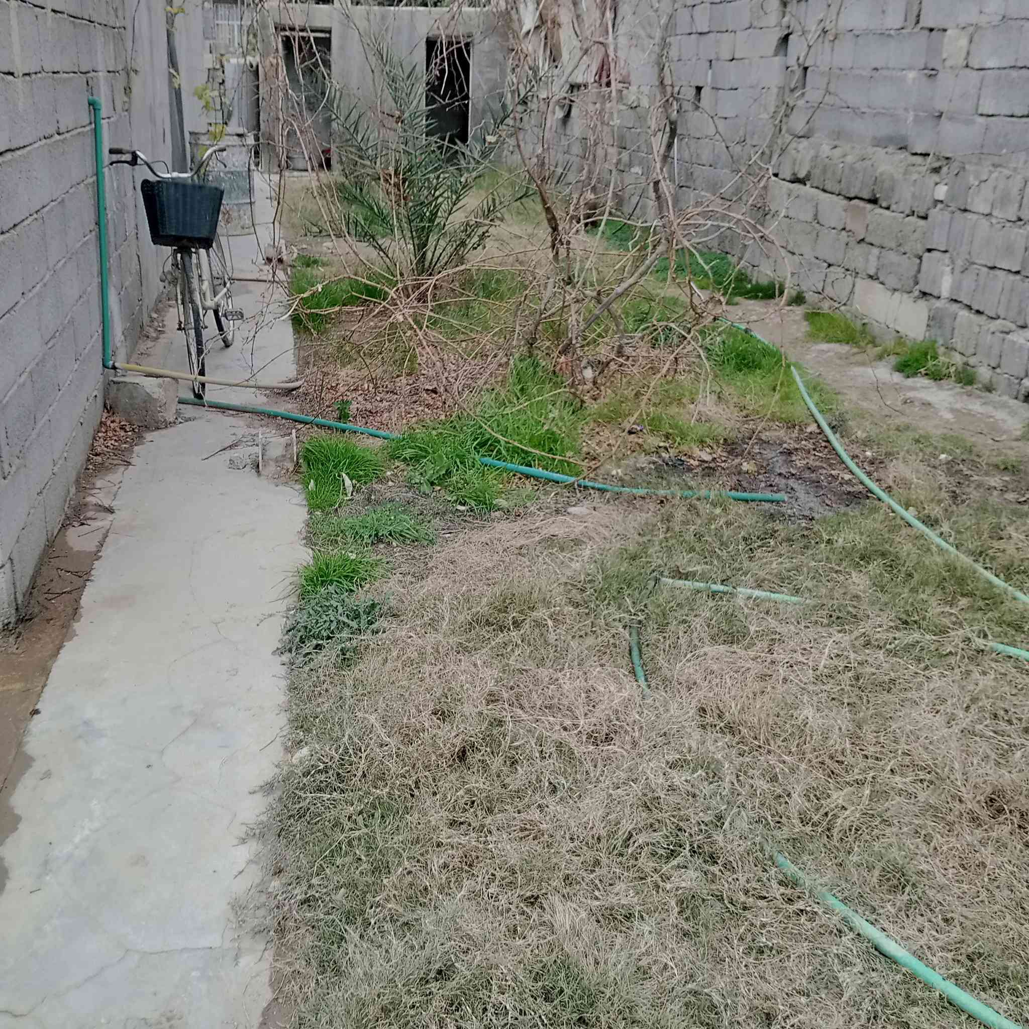 السلام عليكم
بيت مساحته 230 يحتوي على صاله مساحه 10غرف نوم 2مساحه 5×4ويحتوي على حديقه كبيره مساحه 24×5
موقع خلف كليه ادره واقصاد الفلوجه السكنية السعر 45وبي مجال رقم الهاتف ***********
