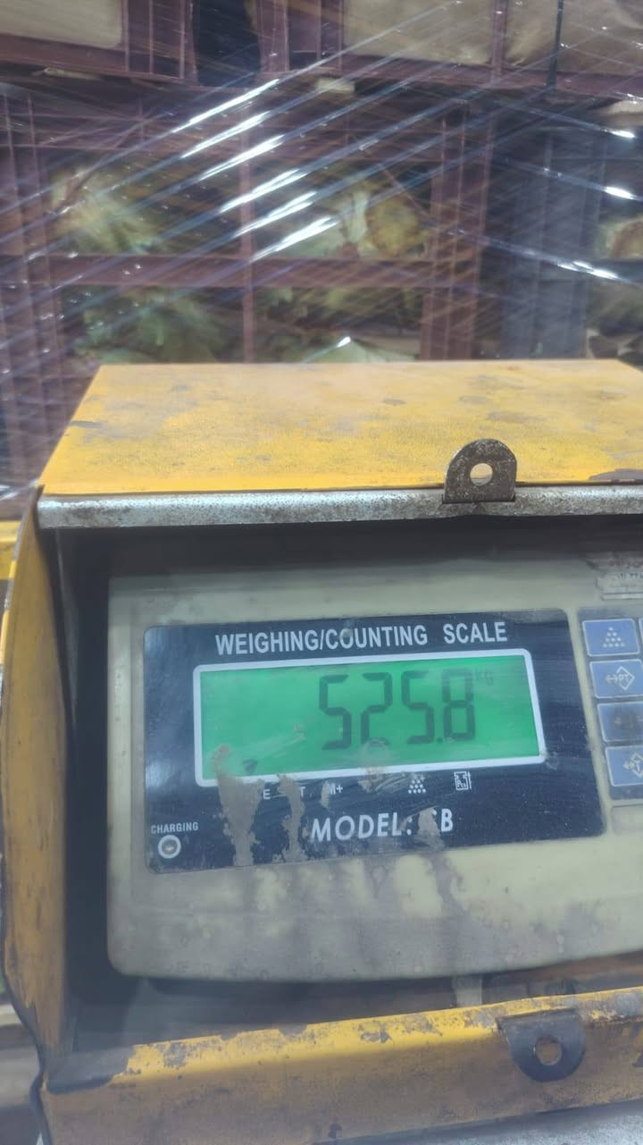 السلام عليكم سايبا مديل ١٣ كير محرك صدر تايرات باتري جديد سياره نضيفه بمعنى الكلمه مصفره هيئه وغرامات سياره باسمي تحويل ثاني يوم مراس اوبترا اوتو خصوصي او تكسي حسب الاتفاق ع الفرق ***********
