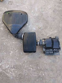 شوتة • كابرس دولفين • بصره القبله