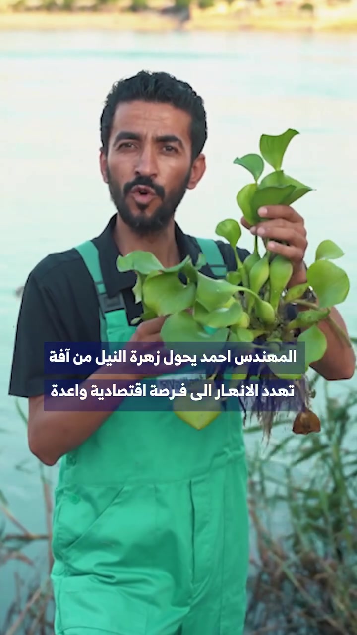 تابع هذا الفيديو وشوف شلون گدر هذا المهندس البطل بتحويل هذا النبات من حالة #سلبية لـمشروع #إيجابي ويقلل من البطالة اللي دمرت شبابنا.

​المفروض من وزارة الزراعة والجهات المعنية تلتفت لهيچ أفكار تدعم هذا المشروع محليا،

#العراقي ما ينقصه العقل ولا الإبداع. ينقصه فقط الدعم المادي والمعنوي وتوفير الفرص.


**إذا كنت صاحب هذا الإعلان وتريد حذفه لأي سبب، رجاءا أرسل رسالة إلى الدعم الفني**