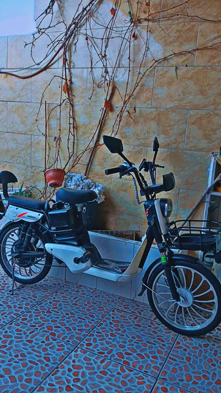 ئەو پاسکیلە شەحنە بۆ فرۆشتن بە پاتری دەوێ هەموو شتی مەزبوتە 
سعری ۱۳۰ هەزار شوێن هەولێر


**إذا كنت صاحب هذا الإعلان وتريد حذفه لأي سبب، رجاءا أرسل رسالة إلى الدعم الفني**