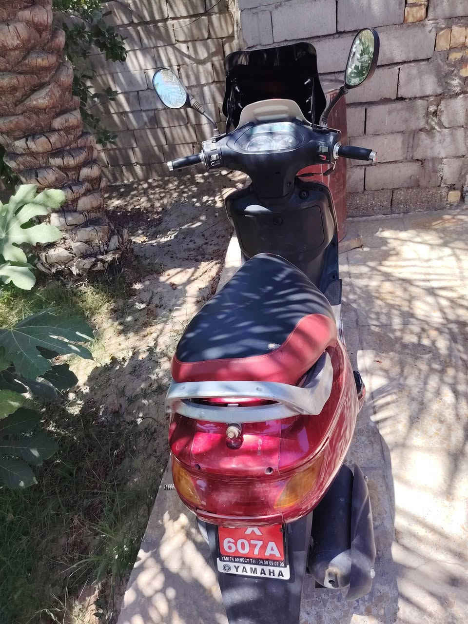 فراشه فحل مكفول من كلشي مكينه مامفتوحه مامفتوحه جيب فيتر وياك مكانه بابل الحمزه الغربي سعره ٥٥٠ رقمي ***********
