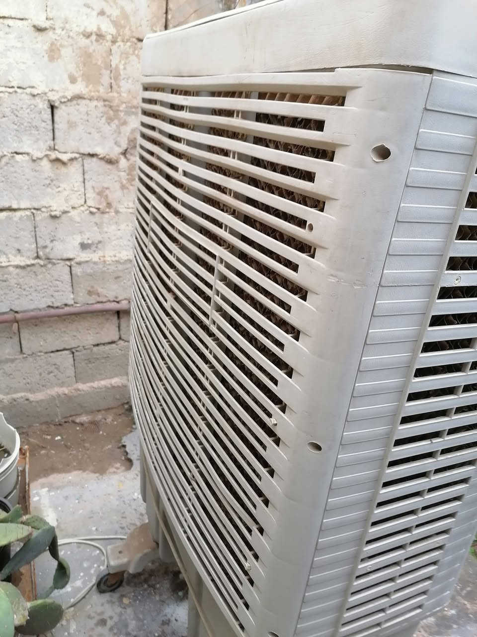 السلام عليكم، كونفيرا ماركة سوبر امبريال حجم وسط للبيع نضافه جيده جدا شغاله ثلاث سرع مع الحلفه وتايرات،، كونفيرا كامله السعر 100


**إذا كنت صاحب هذا الإعلان وتريد حذفه لأي سبب، رجاءا أرسل رسالة إلى الدعم الفني**