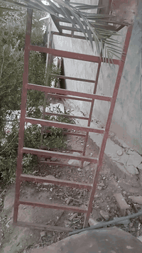 متاح. محجر ستوته للبيع العنوان كربلاء طويريج الرجيبه ***********
