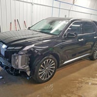 بليسايد • ٢٠٢٤ • مزاد النجف