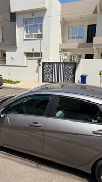 فول الفول • ٢٠٢٤ • صبغ بونيد