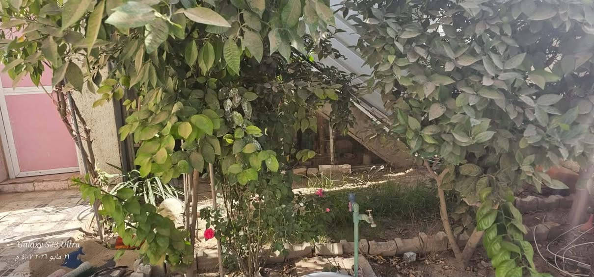بيت طابقين للبيع بناء حديث مساحته 150 م طابو صرف 
مكانه بابل ابو غرق اللاستفسار اكثر تواصل خاص


**إذا كنت صاحب هذا الإعلان وتريد حذفه لأي سبب، رجاءا أرسل رسالة إلى الدعم الفني**
