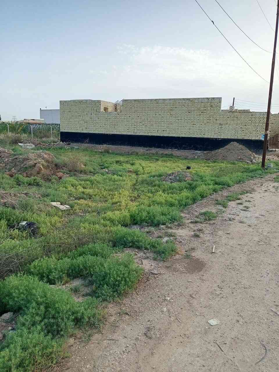 أراضي زراعية سند 25 المساحات 200م في الاسكندريه حي المعلمين الجديد الزراعي كافة الخدمات كهرباء وماء وشوارع سبيس وانترنت ضوئي الأسعار من 10مليون إلى 20مليون مجاور المدرسية الصينية الجديدة للتواصل الاتصال ***********///***********
