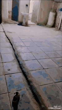 حي العلماء الشيخ نعمه • ٢٤٠م • حوش ١٠٠م