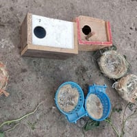 فناجس • نظيفات • موصل ايسر