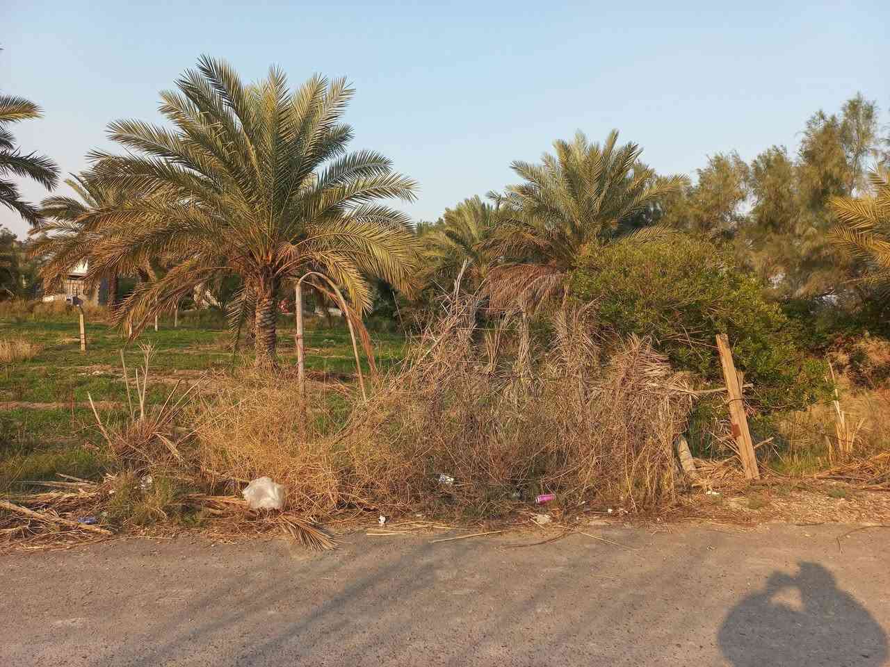 السلام عليكم قطعه ارض نص دونم للبيع الاستفسار على هذا الرقم ***********
