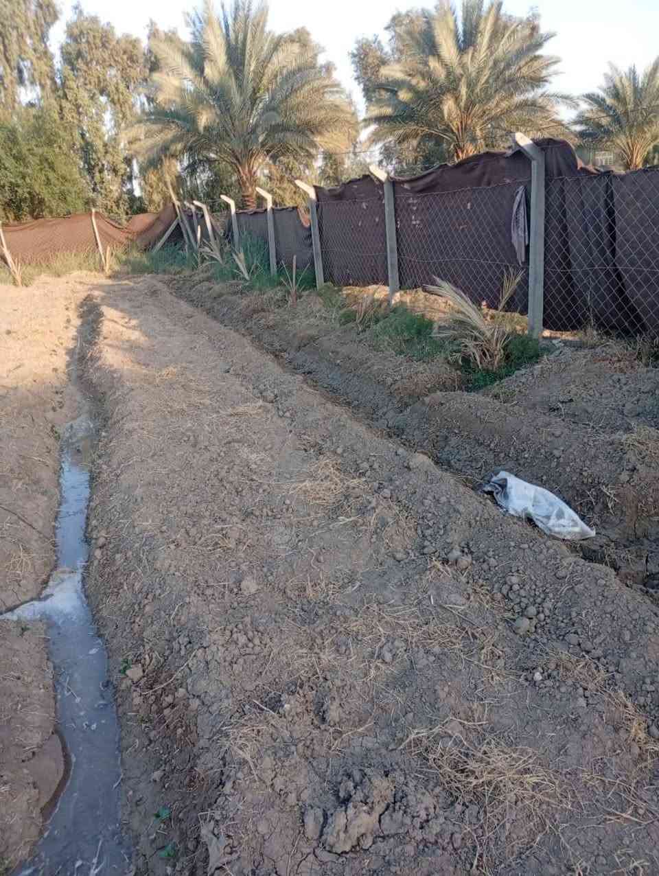 السلام عليكم قطعه ارض1000متر للبيع العنوان بابل منطقة الصياحيه يتوفر كل الخدمات تبعد عن الشارع 200متر جنس العقار طابو سند 25 ،،،،،،***********
