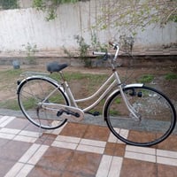 باسيكل • باباني