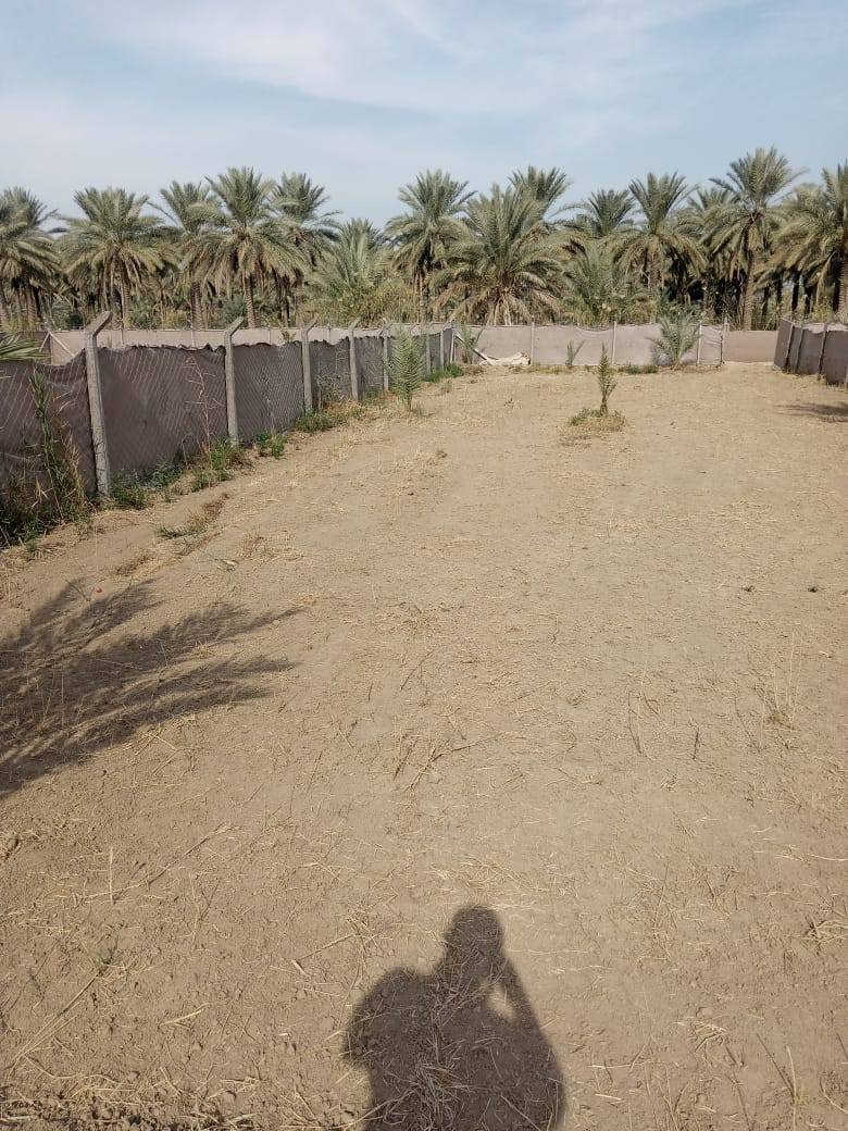 ُعرض للبيع قطعة أرض مميزة:
🔹 المساحة: (1000) متر مربع
🔹 الموقع: كربلاء – قرب سيطرة الإبراهيمية، عمود (260) على طريق حلة–كربلاء
🔹 الموقع حيوي وقريب من الشارع العام

💠 سند ٢٥

📞 للاستفسار والتواصل: ***********
