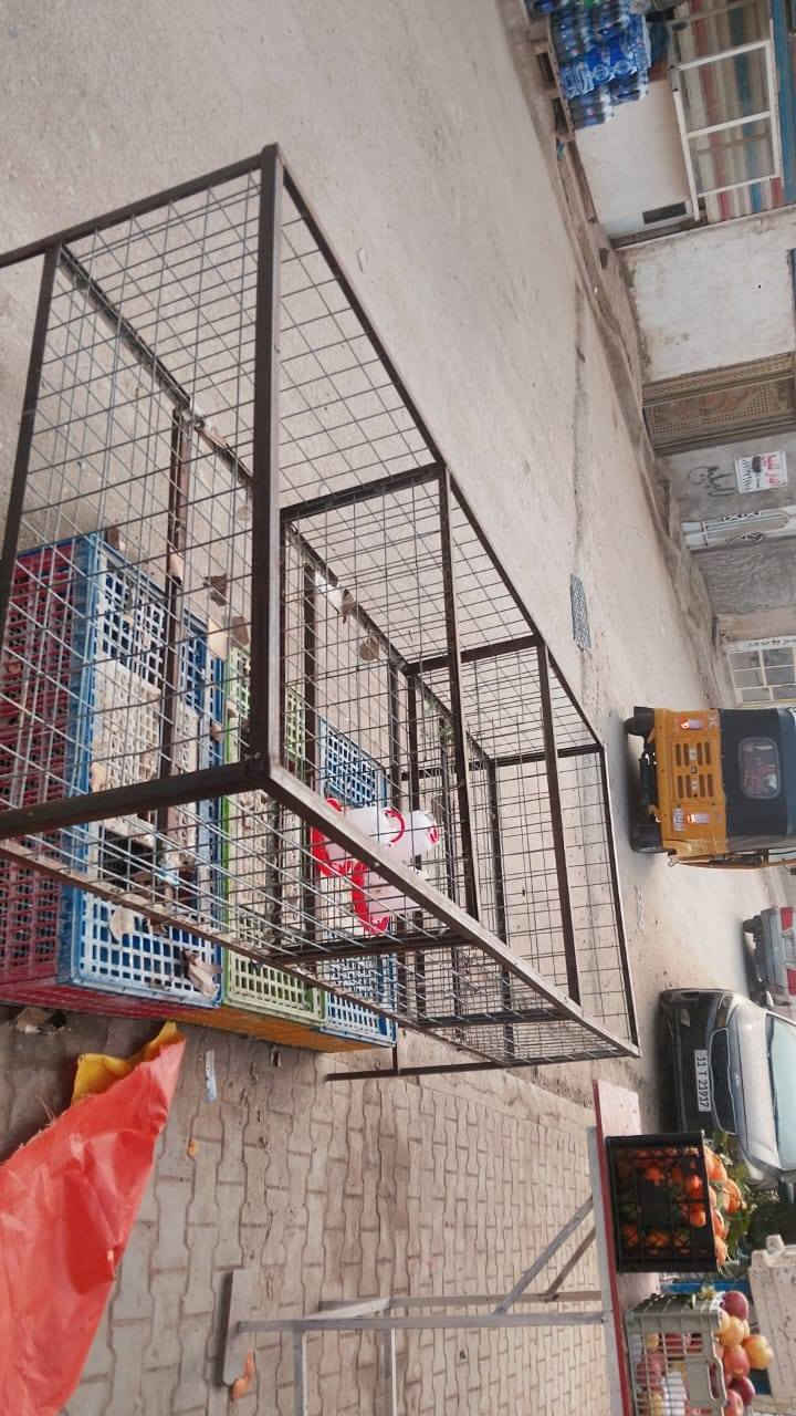 سلام عليكم عندي قراض مستعملات 25يوم والله مكينه بلكارتونه ستعمال قليل بس محتاج وجاي بيعهة سعر خاص لمكان بغداد مدينة صدر *********** مستعجل
