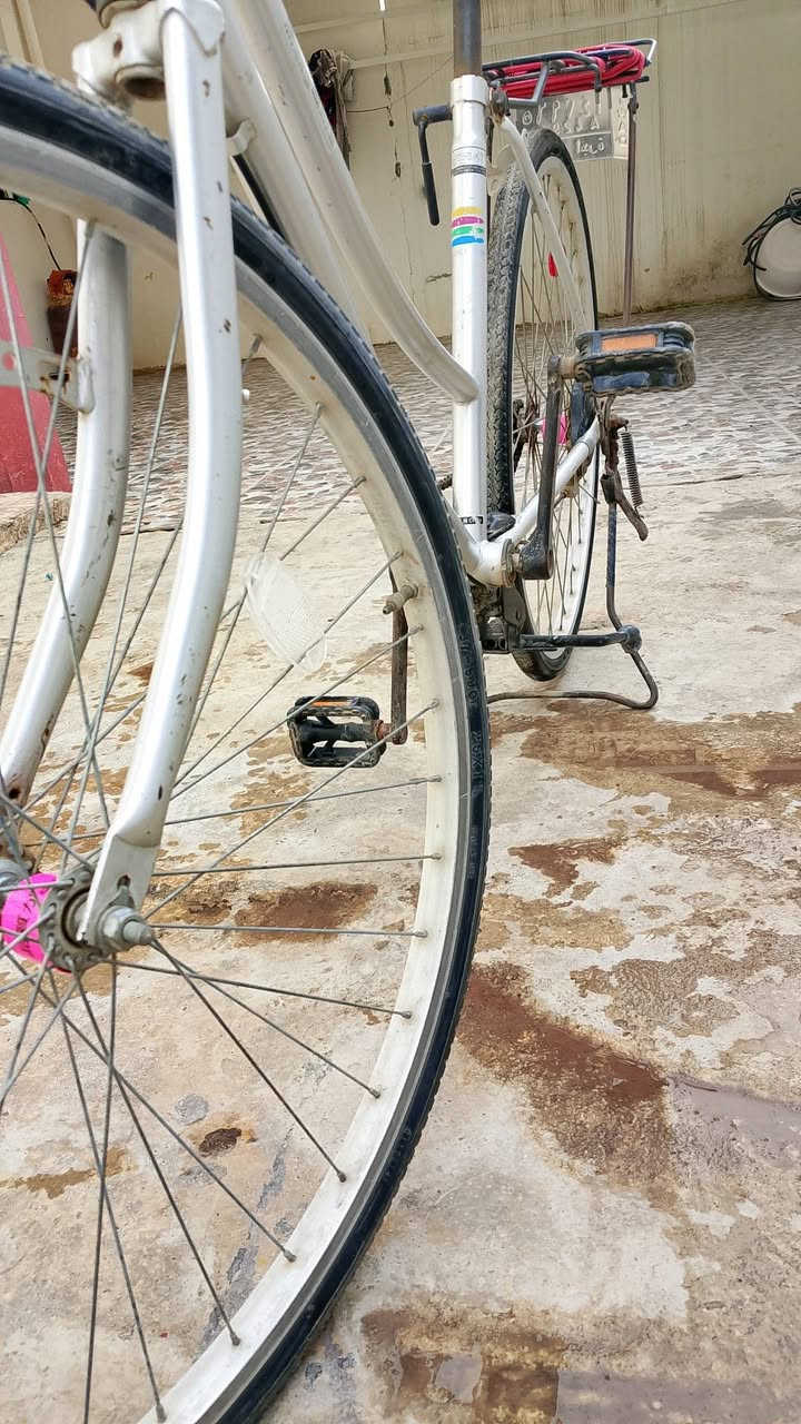 للبيع فقط شركة سانتوس موديل 2019 التفاصيل جوى 👇 لايت رماش ازرك احمر طيارية كلاص فلاش و دسك ومعاه بم وطفارية ورى كدام حبل طياريه جك البنص جك الشركه 
السعر 65وقابل للتفاوض وتحياتي لكم جميعا


**إذا كنت صاحب هذا الإعلان وتريد حذفه لأي سبب، رجاءا أرسل رسالة إلى الدعم الفني**