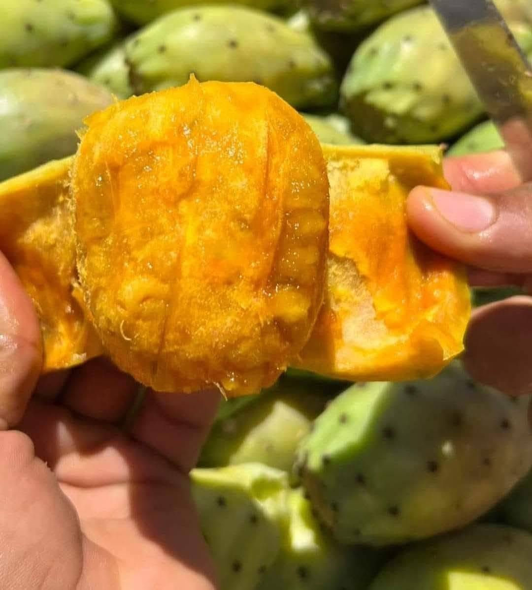 🌵❤️ استعدوا يا عشاق التين الشوكي ❤️🌵
التين الشوكي  😍 ومنزوع الشوك بالكامل لراحة أكتر واستمتاع بالطعم الحلو والمنعش 😋
وطبعًا التين لسه بشاير الموسم، وعشان كده سعره أعلى شوية من المعتاد، لكن طعمه وجودته يستاهلوا 👌
الكمية محدودة في بداية الموسم، واللي عايز يحجز يبادر من بدري ❤️
🌵 تين شوكي طازة 🌵 منزوع الشوك
البرنيكه 5كيلو 
الحجز مفتوح خاص 01011221046


**إذا كنت صاحب هذا الإعلان وتريد حذفه لأي سبب، رجاءا أرسل رسالة إلى الدعم الفني**