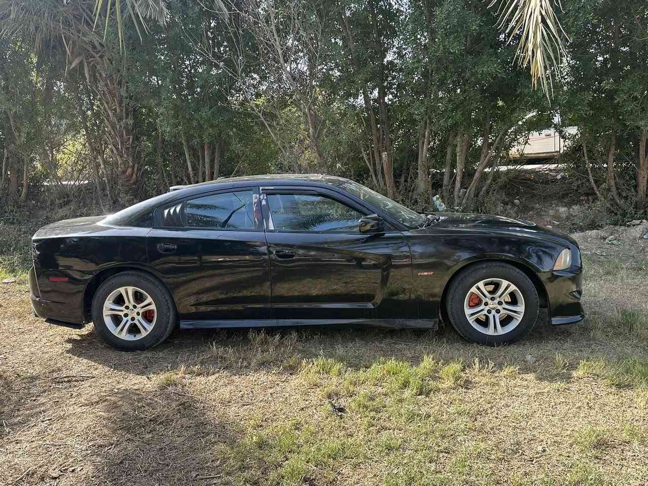 يالله.  جاجر موديل ١١. مكينه. وكير. مكفولات.
حداديه وتخم.تخم. تاير. ٩٠/١٠٠ كهرباء كله. شغاله 

رقم. بغداد. بسمي. تحويل. مباشر. 

سياره. مكفوله. من اي ضربه قويه. شاصي. مكفول.  بيها. من امريكه. ضربه خفيفه. بل. جاملغ. الأمامي. عكس. السايق. وبل. عراق. طخات. خفيفه. ورشات. صبغ. 

مكفوله من الصبغ. العام. ومن. العيب. الشرعي. وكافه. الأصوليات. 

مكاني. ناصريه. رفاعي. ***********

ملاحضه. السياره. . فول. موصفات. تحكمات. فتحه. فول وفول  السعر ١٢٨ وبيها. مجال.
