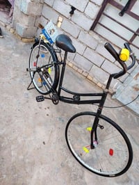 باسكل • شطره • للبيع