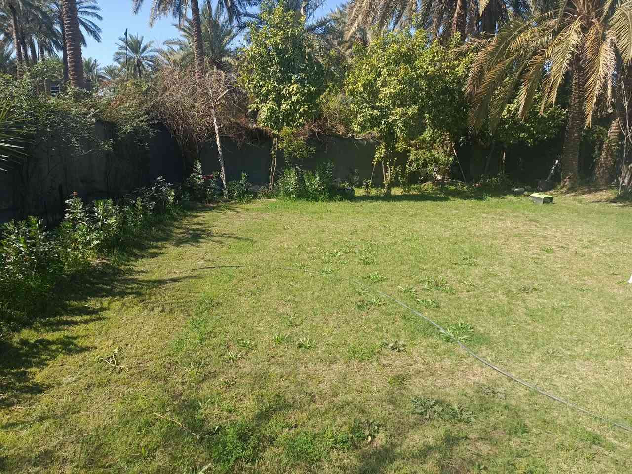 قطعة ارض زراعيه سند 25 المساحه دونم ونص مع بيت مساحة 300 متر
الموقع المحاويل قريب على شارع حله بغداد 
ومتوفر كل الخدمات للاستفسار الاتصال على الرقم ***********
