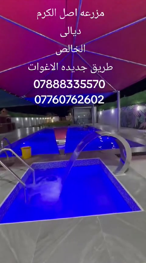 مزرعه اصل الكرم 
ديالى الخالص 
طريق الجنسيه 
رقم الحجز /***********
