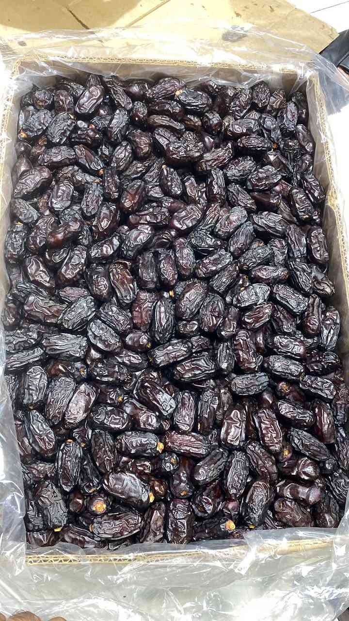 کرینی خورمای عەجوە بو عومرەکاران لەمەدینەی پیرۆز
هەر کەس خورمای عەجوەی ویست لامان دەست دەکەویت

هاوسەفەرمان بن بۆ ٢/٢٢ سەرەتای رەمەزان هەزارن ترین نرخ ئوتیل ئەجیاد تەنها ٥٤٠ دولار 

***********
*********** ئوفیس کەلار
***********سلیمانی کانی با
