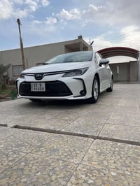 كورلا هابيرد خليجي مكفوله كفاله عامه رقم اربيل شركه جيهان   ‭0770 312 ...