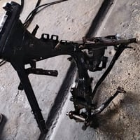 شاصي • موديل19 • بدون أوراق