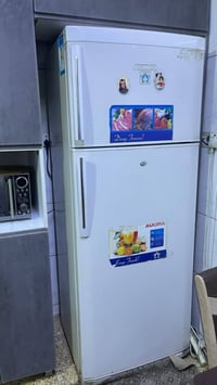 طباخ مصري فريش • ثلاجه ٢٨قدم • توصيل