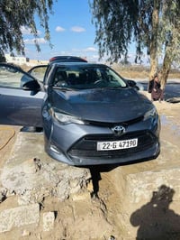 كورلة • ٢٠١٧ • رشات صبغ