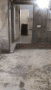 سلام عليكم بيت مساحه 130متر بيت مرتب مال عاله زغيره بيت فارغ تسليم مباشر بيت اصلاح زراعي منطقه سكنيه ابو خستاوي خدمات كامله مدرسه قريبه كهرباء ماي مولده ذهبي شارع حله كربلاء قريب السعر 20 الستفسار مراسلت الصفحه ونتصال ***********
