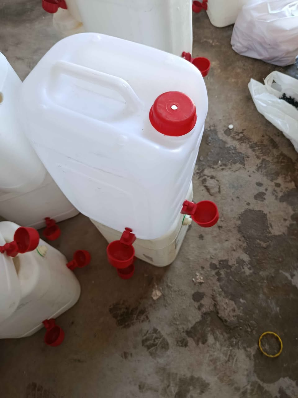 خۆت ڕزگاربکە لەناڕەحەتی زووزووگۆڕینی ئاوی پەلەوەرەکانت یان سەردانکردنیان لەباخ یان له هەرشوێنێک بێت *********** السليمانية, العراق
